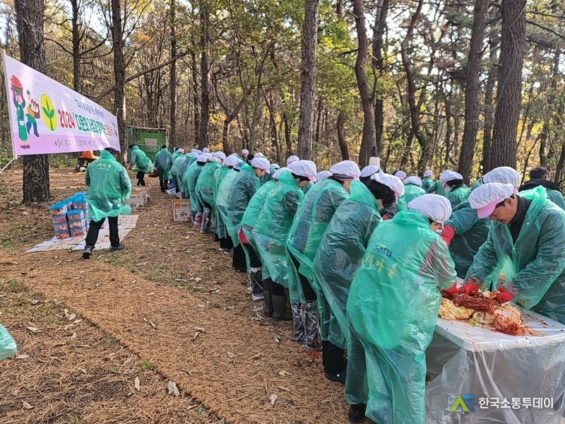 사진촬영=한국소통투데이 통신사 // 광주 광산구 새마을회 회원들과 다문화 가족들이 정성을 다해 김장을 담고 있는 모습.