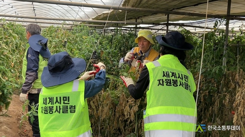 사진촬영=한국소통투데이 통신사 // 구슬땀을 흘리며 봉사중인 세계시민자원봉사클럽의 모습
