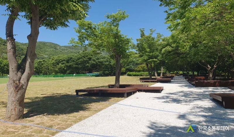 사진제공=용인시청// 용인자연휴양림 잔디광장 정비 완료한 모습