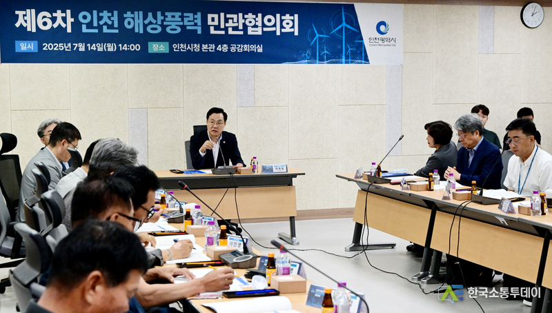 (사진촬영=인천시청 제공) 하병필 행정부시장이 '제6차 인천 해상풍력 민관협의'를 진행했다.