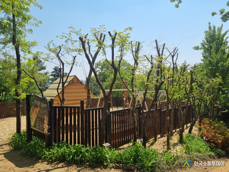 사진제공=성남시청// 녹지과-새로 조성된 성남시 식물원 숲놀이터 모습