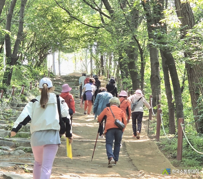 사진제공=화성특례시청// 화성특례시 동부권 걷기 동아리에 참여한 시민들이 걷기 활동을 하고 있다