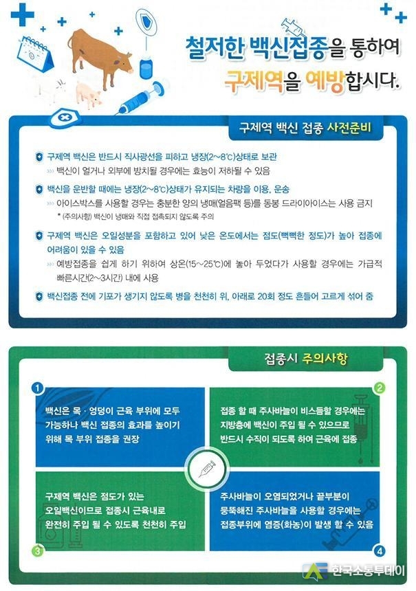 (사진제공=인천시청) 하반기 구제역 예방을 위해 백신 일제접종이 시행된다.