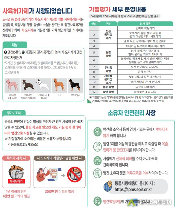(사진제공=인천시청) 개정된 동물보호법에 따라 맹견을 소유한 사람은 동물등록, 중성화수술, 책임보험 가입 등을 사전에 완료하고 계도기간인 10월 26일까지 반드시 맹견 사육허가를 받아야 한다.