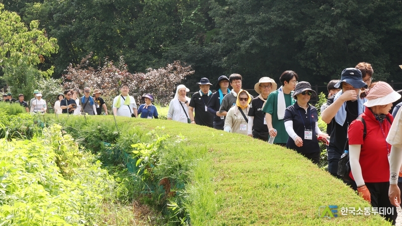 사진제공=안성시청// 발달장애인 한라산 등반 사전훈련
