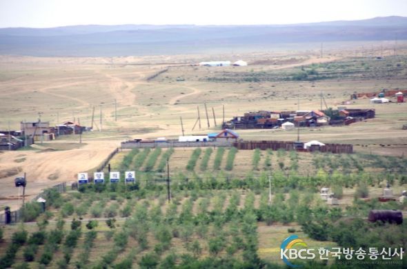 고양의 숲 전경