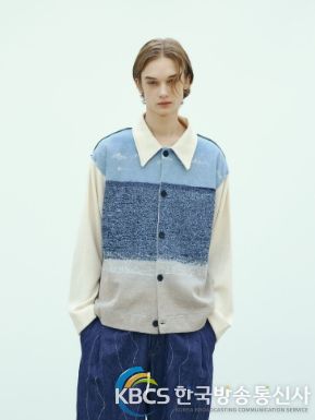 김현섭, 웨이비니스