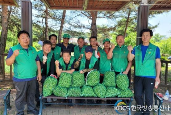 구리시 교문1동 새마을지도자협의회, 불우이웃돕기 기금 마련을 위한 매실 수확
