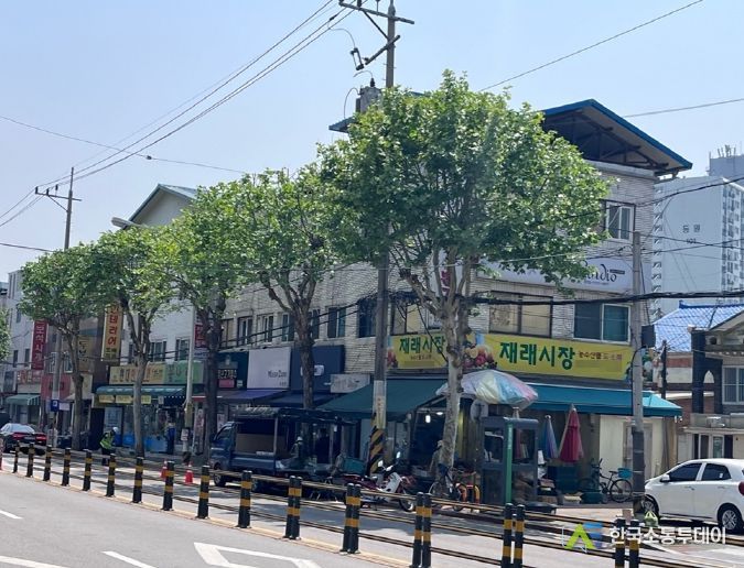 의정부시, 안전한 보행환경 제공을 위한 가로수 정비 추진