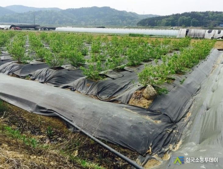 파주시, ‘환경친화형 농자재’ 지원 위해 8월 3일까지 수요조사