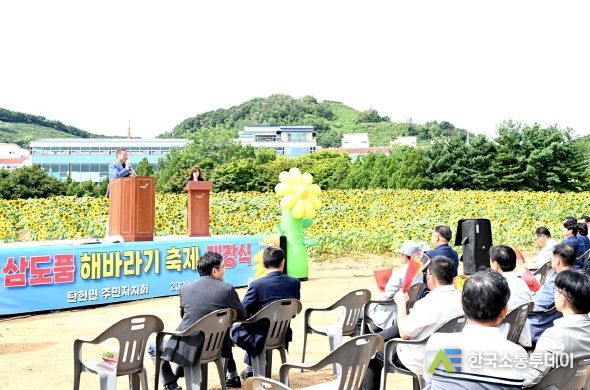 파주시 탄현면에도‘해바라기 축제’열렸다