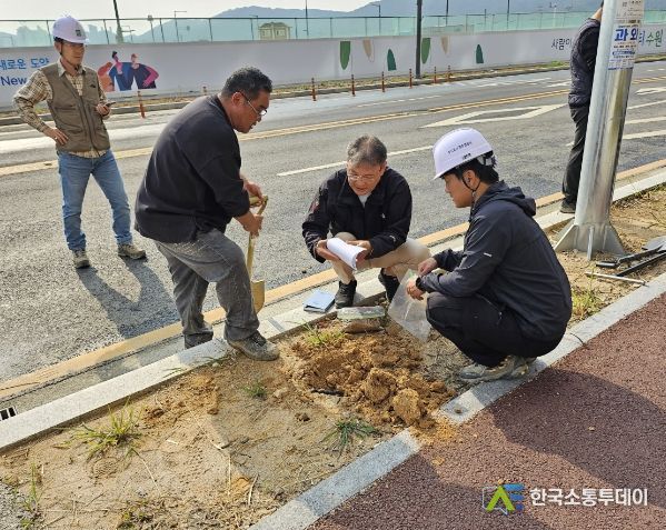 당수지구 내 가로수 식재예정지 토양을 조사는 모습