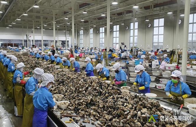 현대화된 굴까기 작업장