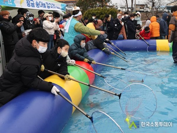 2024 무안겨울숭어축제, 숭어잡기 체험 및 수산물 판매장 운영