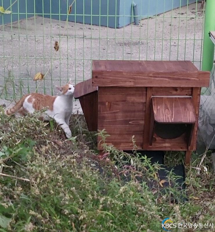 동천리 길고양이 겨울집 및 급식소