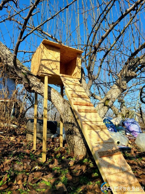 동천리 길고양이 겨울집 및 급식소